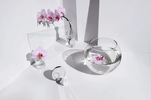 Geometric angular composition with phalaenopsis orchid flowers, different glass Stockfoto's
