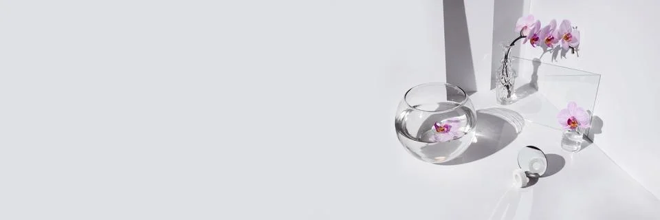 Geometric angular composition with phalaenopsis orchid flowers, different glass Stockfoto's
