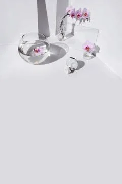 Geometric angular composition with phalaenopsis orchid flowers, different glass Stockfoto's