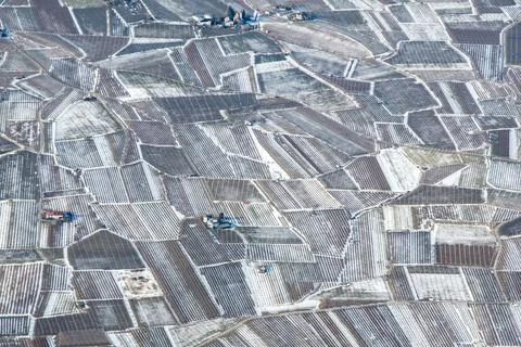 Geometric apple fields in Adige Valley with snow in winter, Stock-Fotos