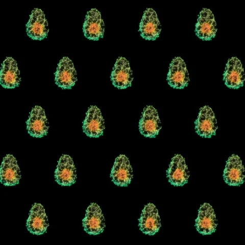 Geometric Avocado Pattern on Dark Background, 1:1 Square Video Stock Footage 330197238