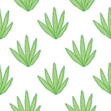 Geometric botanical exotic backdrop. Abstract cactus seamless pattern on whit Stock Illustration