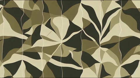Geometric camouflage texture seamless animation. Abstract modern military camo Stock Footage 220117855