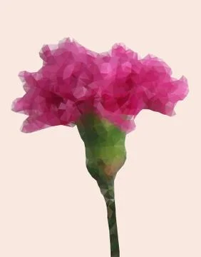 Geometric carnation flower Stock Illustration