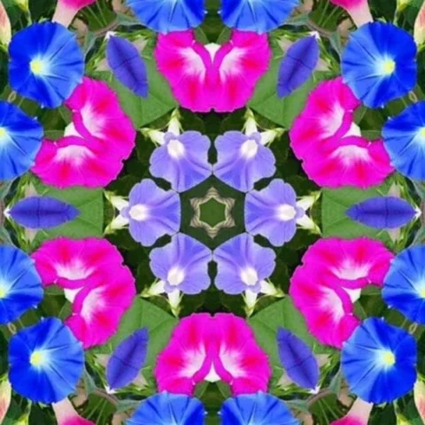 Geometric colorful sequencing pattern design,abstract background Stock Footage 227317159