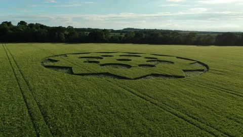 Geometric Crop Circle 4K Slow Low Flyover footage, 8th June 2021 Stock-Footage 155600995