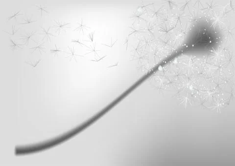 Geometric dandelion Stock Illustration