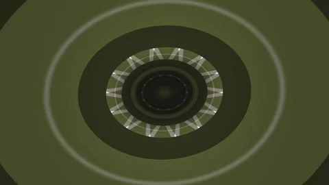 Geometric design with concentric circles and radial lines Stock Footage 339514295