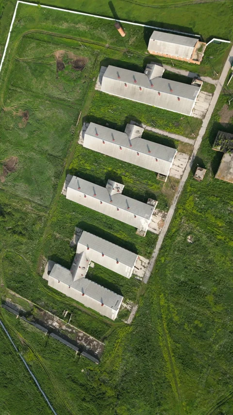 Geometric farm buildings creating rhythmic patterns across verdant rural Stock Footage 319160989
