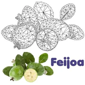 Geometric feijoa fruit Stock Illustration