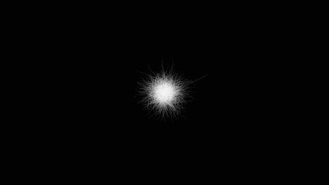 The geometric figure of the sprawl of white lines. Stock Footage 120812101