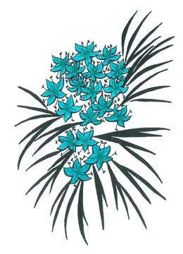 Geometric floral pattern with long black leaves and cute azure flowers Stock Illustration