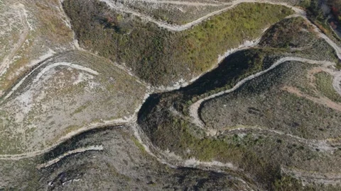 Geometric Forest Plantation Patterns on Mountain Terrain – Aerial View Vídeos de archivo 336960279