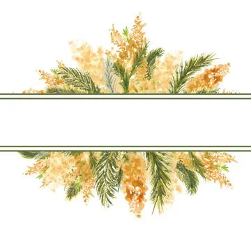 Geometric frame with Mimosa branches on the outer edge on a white isolated Stock-Illustration