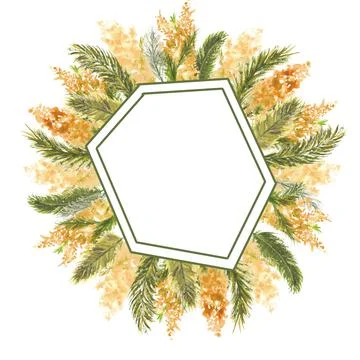 Geometric frame with Mimosa branches on the outer edge on a white isolated Stock Illustration