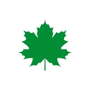 Geometric green plane tree leaf. Vector drawing Stock Illustration