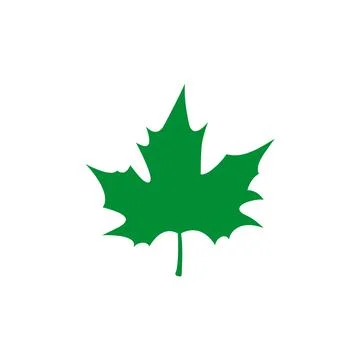 Geometric green plane tree leaf. Vector drawing Stock Illustration