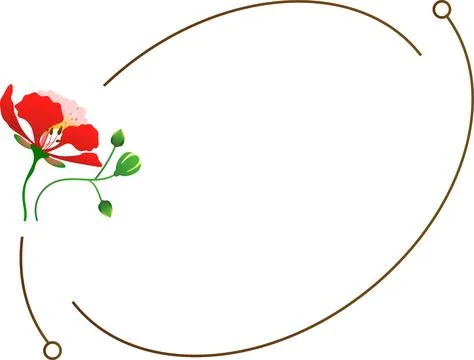 Geometric line frame illustration with phoenix in minimal style on white ba.. Stockillustratie