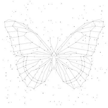 Geometric linear butterfly, constellation Stockillustratie