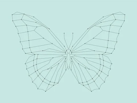 Geometric linear butterfly Illustrazione stock