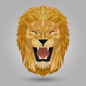 Geometric lion Stock Illustration