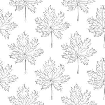 Geometric maple leaf seamless pattern on white background. Monochrome leaves  Stock Illustration