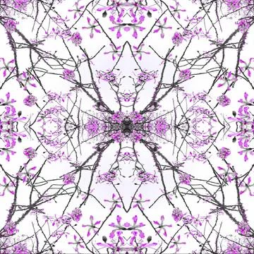  Geometric Nature Collage Pattern Digital photo collage and manipulation t... Stock Photos