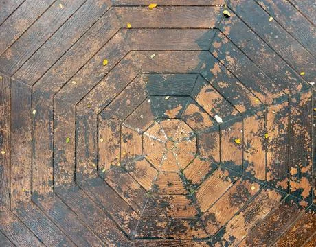 Geometric Octagon Wooden Bench Pattern in Public Park. Stock Photos