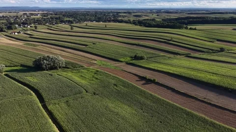 Geometric patchwork of crop fields seen from a drone Stock Footage 347707721