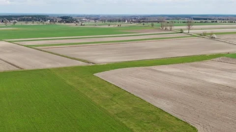 The Geometric Patchwork of Polish Agricultural Fields and Countryside from Above Stock Footage 320108890