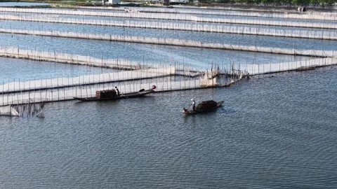 Geometric pattern of aquaculture ponds aerial view 4K Stock Footage 339861344