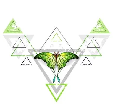 Geometric pattern with green butterfly Stock Illustration