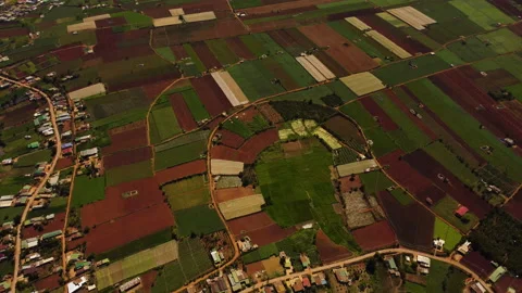Geometric pattern of patchwork farmland in Lam Dong province, Vietnam, Stock Footage 221057531