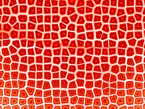 Geometric pattern red background or texture. Square elements and the lines in Illustrazione stock