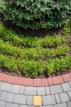 Geometric pattern rows of tiles and greenery growing on ground Stock Photos