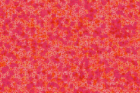 Geometric pattern template. Abstract background with modern futuristic graphi Stock Photos