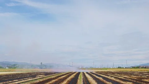 Geometric patterns of blackened lines on a wheat field after burning Stock Footage 335279646