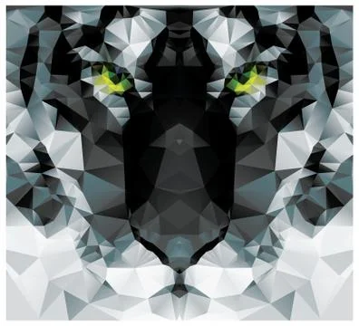 Geometric polygon white tiger head, triangle pattern design, vector illustrat Stock Illustration