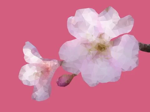 Geometric sakura flower Stock Illustration