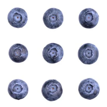 Geometric seamless blueberry pattern. Berries isolated on white. Fresh fruit Stock Photos