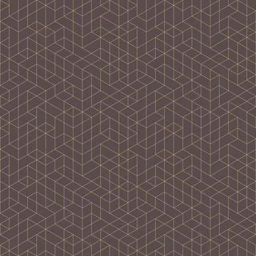 Geometric Seamless Pattern With Abstract Ornament 스톡 일러스트