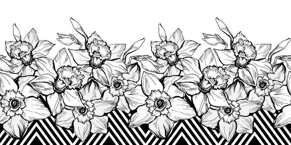 Geometric seamless pattern border with hand drown flowers Daffodils Stock Illustration