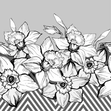 Geometric seamless pattern border with hand drown flowers Daffodils Stock Illustration