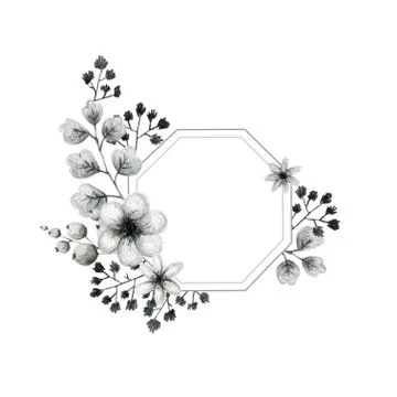 Geometric shape frame, gray leaves of branches and flowers, drawing in pencil Stock Illustration