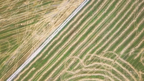 Geometric shapes of agricultural fields Stock Footage 94307240