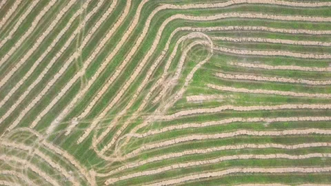 Geometric shapes of agricultural fields Stock Footage 94307330