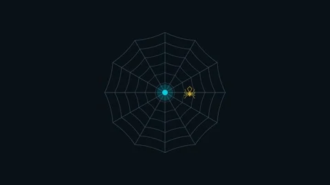Geometric Spider Web Network Animation Stock Footage 344383386