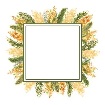 Geometric square frame with Mimosa branches on the outer edge on a white Stock Illustration