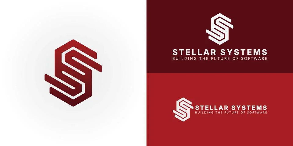 Geometric SS monogram within a bold hexagonal frame Illustrazione stock