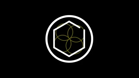 Geometric symbol with interlocking circles within a hexagon and circle on a.. Stock Footage 332060725